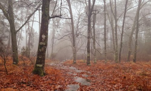 WhatsApp Image 2025-11-22 at 15.02.08 (5)