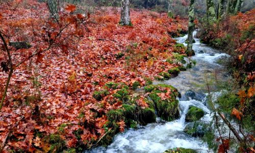 WhatsApp Image 2025-11-22 at 15.02.09 (3)