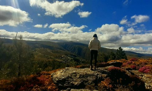 WhatsApp Image 2025-11-22 at 16.03.10