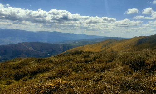 WhatsApp Image 2025-11-22 at 16.03.11