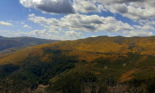 WhatsApp Image 2025-11-22 at 16.03.12 (2)