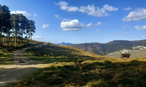 WhatsApp Image 2025-11-22 at 16.03.12 (3)