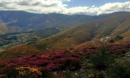 WhatsApp Image 2025-11-22 at 16.03.12