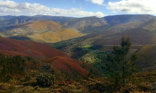 WhatsApp Image 2025-11-22 at 16.03.13 (1)