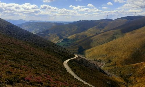 WhatsApp Image 2025-11-22 at 16.03.13