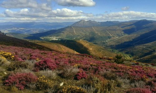 WhatsApp Image 2025-11-22 at 16.03.14 (1)