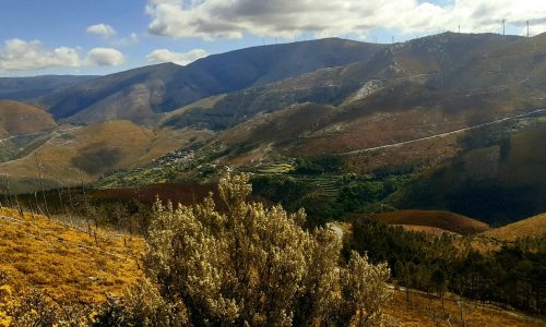 WhatsApp Image 2025-11-22 at 16.03.14 (3)