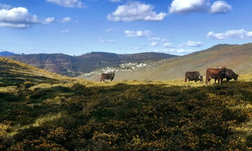 WhatsApp Image 2025-11-22 at 16.03.14