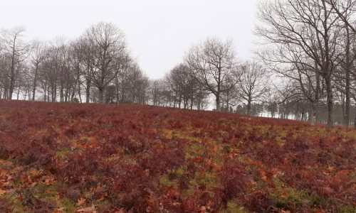 WhatsApp Image 2025-11-22 at 16.08.04 (1)