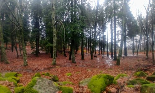 WhatsApp Image 2025-11-22 at 16.08.04