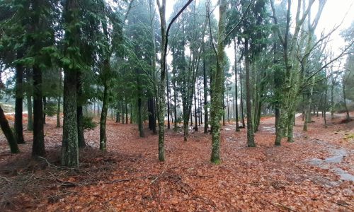 WhatsApp Image 2025-11-22 at 16.08.05 (3)