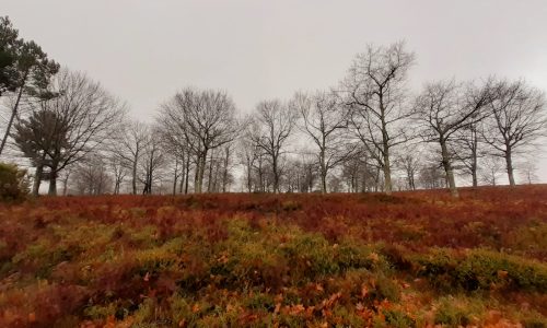 WhatsApp Image 2025-11-22 at 16.08.05