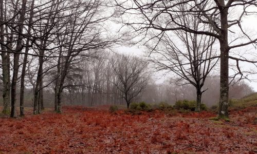 WhatsApp Image 2025-11-22 at 16.08.06