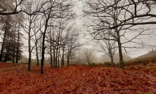 WhatsApp Image 2025-11-22 at 16.08.07 (1)