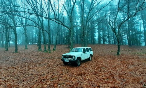 WhatsApp Image 2025-11-22 at 16.08.07 (2)