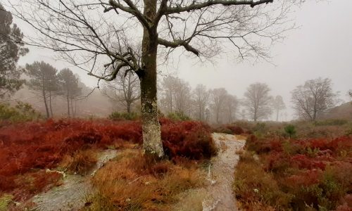 WhatsApp Image 2025-11-22 at 16.08.07 (3)