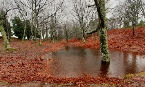 WhatsApp Image 2025-11-22 at 16.08.07