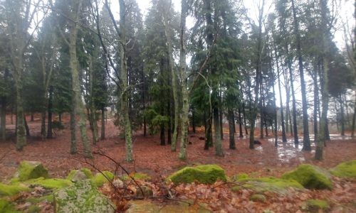 WhatsApp Image 2025-11-22 at 16.08.08 (1)