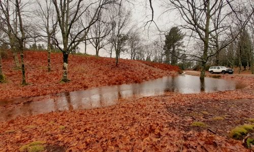 WhatsApp Image 2025-11-22 at 16.08.08 (2)