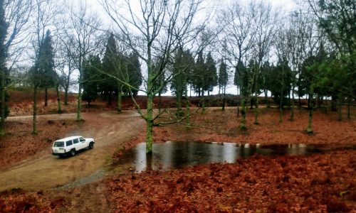 WhatsApp Image 2025-11-22 at 16.08.08