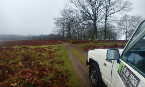 WhatsApp Image 2025-11-22 at 16.08.09